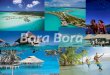 Brochure of bora bora