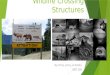 Wildlife crossing structures