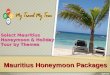 Mauritius honeymoon packages