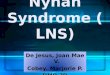 Lesch–nyhan syndrome