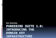 Phreebird Suite 1.0:  Introducing the Domain Key Infrastructure