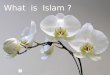 islam is 