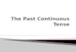 The past continuous tense