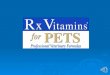 Introducing Nutraceuticals Into Existing Protocols for Veterinarians