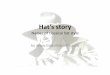 Hat’s story