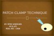 Patch clamp technique