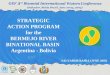 Strategic Action Program for the Bermejo River Binational Basin: Argentina- Boliva