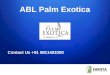 ABL Launch ABL Palm Exotica Book Now @ +91 9811403200