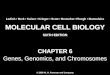 Molecular Cell Biology Lodish 6th.ppt - Chapter 6   genes, genomics, and chromosomes