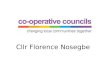 Co operative councils