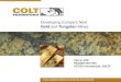Colt Resources