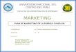 Aplicación del Marketing a una Mype de Huancayo