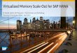 Hana Memory Scale out using the hecatonchire Project