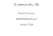 Understanding gil