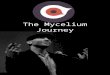 Mycelium journey1
