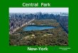 Central Park New York, New York