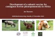 Development of a subunit vaccine for contagious bovine pleuropneumonia in Africa