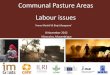 Communal pasture areas: Labour issues