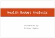 Health and budget analysis for civil society