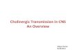 Cholinergic transmission in CNS -An Overview