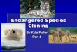Endangered species cloning