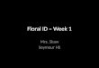 Floral ID Powerpoint - Week 1