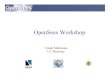 Introduction to OpenSees by Frank McKenna