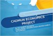 Cadmun economics project