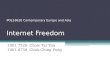 POLS 3620 Internet freedom