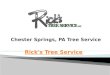 Chester Springs, PA Tree Service