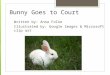 Bunny Goes to Court