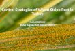 Control strategies of wheat