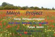 MAVA Seminar Day -  Selection of seeds presentation