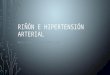 Farmacos AntiHipertensivos e Hipertension Renovascular