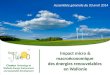 Impact micro et macroéconomique des énergies renouvelables en Wallonie