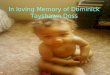 In Loving  Memory Of  Dominick  Tayshawn  Doss