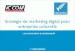 Marketing Digital des entreprises culturelles - Formation ICCOM #4