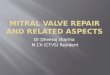 Mitral valve repair and related aspects