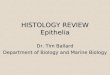 Histology: Epithelia