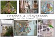 Perches & playstands
