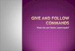 Give And  Follow  Commands