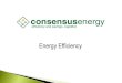 Alternative Energy, Conservation, and Energy Efficiency