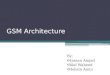 Gsm architecture with gmsk
