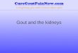 Gout and the kidneys