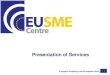 Presentation Of The EU SME Centre China