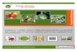 Amar Seeds Private Limited, Pune, Vegetables & Pulses Seeds