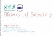 DDS Efficiency and Extensibility