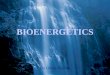 Biochemistry   Bioenergetics