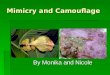 Mimicry and camouflage