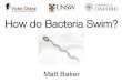 How Do Bacteria Swim? by Matt Baker